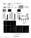 Fig. 07 - Isolation, expansion and use of clonogenic endothelial progenitor cells