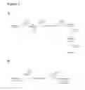 Fig. 02 - REPROGRAMMED CELLS AND METHODS OF PRODUCTION AND USE THEREOF