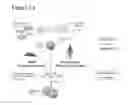 Fig. 03 - REPROGRAMMED CELLS AND METHODS OF PRODUCTION AND USE THEREOF