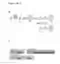 Fig. 04 - REPROGRAMMED CELLS AND METHODS OF PRODUCTION AND USE THEREOF