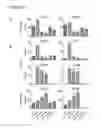 Fig. 12 - REPROGRAMMED CELLS AND METHODS OF PRODUCTION AND USE THEREOF