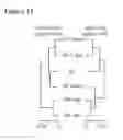 Fig. 13 - REPROGRAMMED CELLS AND METHODS OF PRODUCTION AND USE THEREOF