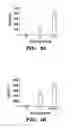 Fig. 06 - Multi-layered cell constructs and methods of use and production using enzymatically degradable natural polymers