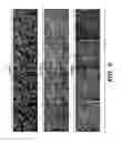 Fig. 07 - Multi-layered cell constructs and methods of use and production using enzymatically degradable natural polymers