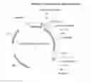 Fig. 02 - Polypeptides having beta-mannanase activity and methods of use