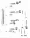 Fig. 03 - CHIMERIC FVII-XTEN MOLECULES AND USES THEREOF