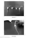 Fig. 17 - Non-disruptive DNA isolation from corn seeds