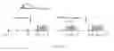 Fig. 07 - Dermatological, pharmaceutical composition suitable for oligonucleotides