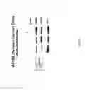 Fig. 66 - Methods and compositions for the treatment of cancer
