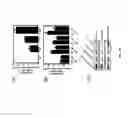 Fig. 72 - Methods and compositions for the treatment of cancer