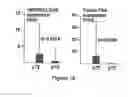 Fig. 25 - PROSTATE CANCER-SPECIFIC ALTERATIONS IN ERG GENE EXPRESSION AND DETECTION AND TREATMENT METHODS BASED ON THOSE ALTERATIONS