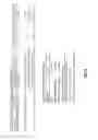 Fig. 05 - Nuclease-mediated DNA assembly