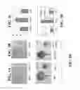 Fig. 05 - Materials and methods for controlling bundle sheath cell fate and function in plants