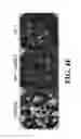 Fig. 07 - Materials and methods for controlling bundle sheath cell fate and function in plants