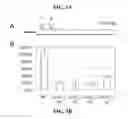 Fig. 08 - Materials and methods for controlling bundle sheath cell fate and function in plants