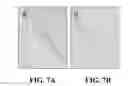 Fig. 10 - Materials and methods for controlling bundle sheath cell fate and function in plants