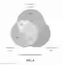 Fig. 11 - Materials and methods for controlling bundle sheath cell fate and function in plants