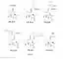 Fig. 05 - PARTHENOLIDE DERIVATIVES, METHODS FOR THEIR PREPARATION AND THEIR USE AS ANTICANCER AGENTS