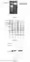 Fig. 02 - Group of glycosyltransferases and use thereof