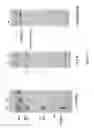 Fig. 18 - Group of glycosyltransferases and use thereof
