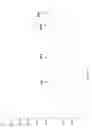 Fig. 29 - Group of glycosyltransferases and use thereof