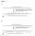 Fig. 04 - Methods and compositions for detection of small RNAS
