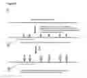 Fig. 05 - Methods and compositions for detection of small RNAS