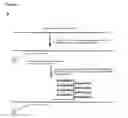 Fig. 06 - Methods and compositions for detection of small RNAS