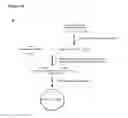 Fig. 26 - Methods and compositions for detection of small RNAS