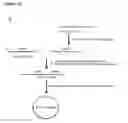 Fig. 27 - Methods and compositions for detection of small RNAS