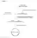 Fig. 29 - Methods and compositions for detection of small RNAS