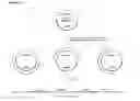 Fig. 31 - Methods and compositions for detection of small RNAS
