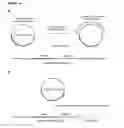 Fig. 32 - Methods and compositions for detection of small RNAS