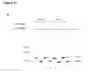 Fig. 46 - Methods and compositions for detection of small RNAS