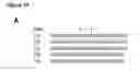 Fig. 56 - Methods and compositions for detection of small RNAS