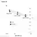 Fig. 62 - Methods and compositions for detection of small RNAS