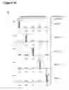 Fig. 71 - Methods and compositions for detection of small RNAS
