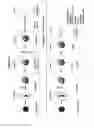 Fig. 04 - Nucleic acid preparation method