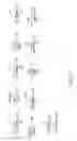 Fig. 02 - Detection of hydroxymethylcytosine bases