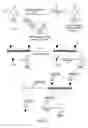 Fig. 03 - Detection of hydroxymethylcytosine bases