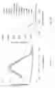 Fig. 06 - Detection of hydroxymethylcytosine bases