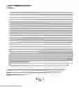 Fig. 10 - COMPOSITIONS, KITS, AND RELATED METHODS FOR DETECTING AND/OR MONITORING SHIGA TOXIN PRODUCING ESCHERICHIA COLI