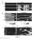 Fig. 03 - Determination of methylation state and chromatin structure of target genetic loci