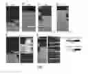 Fig. 08 - Determination of methylation state and chromatin structure of target genetic loci