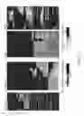 Fig. 13 - Determination of methylation state and chromatin structure of target genetic loci