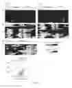 Fig. 14 - Determination of methylation state and chromatin structure of target genetic loci