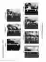 Fig. 16 - Determination of methylation state and chromatin structure of target genetic loci