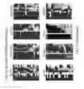 Fig. 18 - Determination of methylation state and chromatin structure of target genetic loci