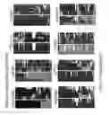 Fig. 19 - Determination of methylation state and chromatin structure of target genetic loci