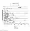 Fig. 08 - DETECTION AND QUANTIFICATION OF DONOR CELL-FREE DNA IN THE CIRCULATION OF ORGAN TRANSPLANT RECIPIENTS